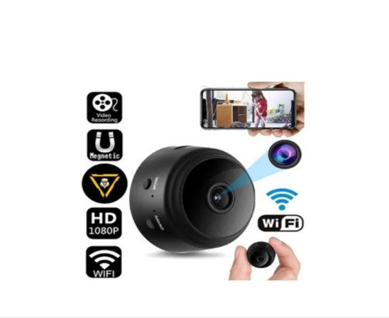 SpySafe Pro