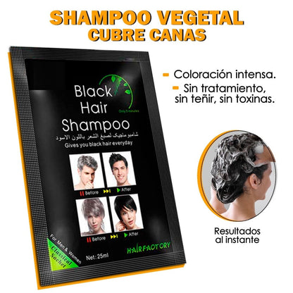 ReviBlack™ – Renueva tu Color Natural